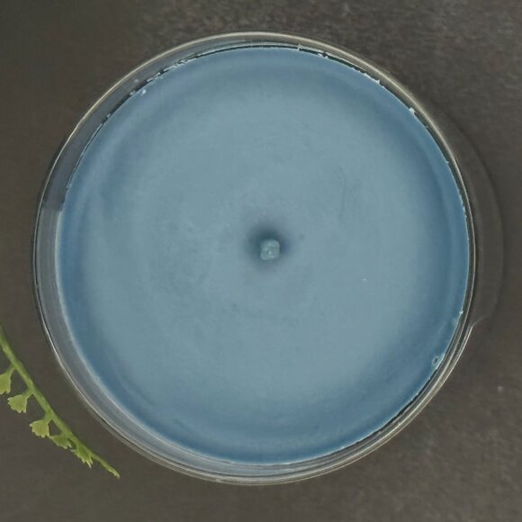 BBW To All A Good Night Bath & Body Works Single Wick Candle - Picture 7 of 10